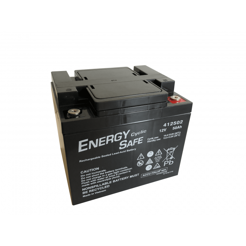 Energysafe 68907 Batteria Universale 
